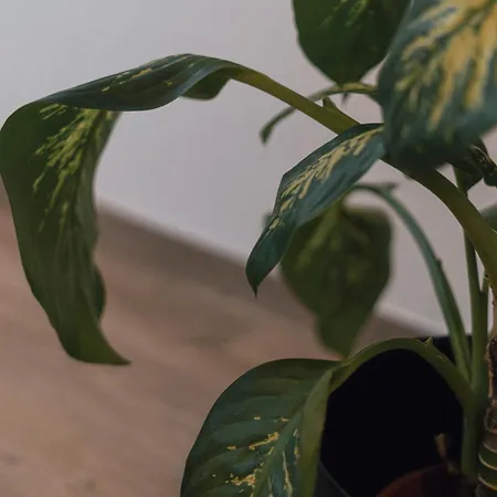 77 - Village I Lägenhet *